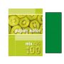 Papier ksero A4/100/80g Kreska zielony ciemny - 2